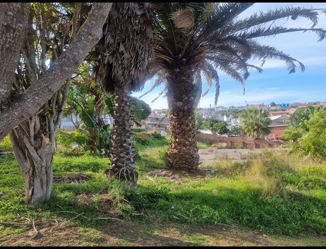 893M² VACANT LAND FOR SALE IN DANA BAY